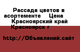 Рассада цветов в асортементе  › Цена ­ 10 - Красноярский край, Красноярск г.  »    